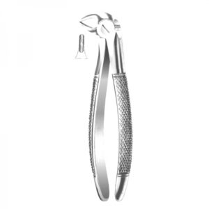 Anterior Forceps