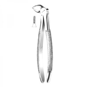 Anterior Forceps